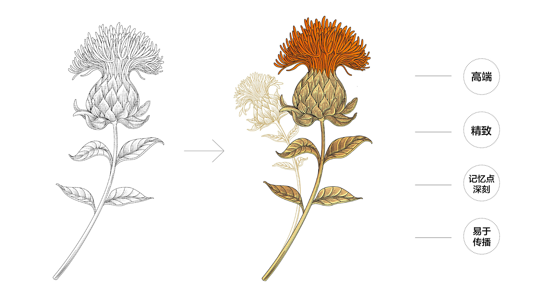食用油包裝設(shè)計(jì)